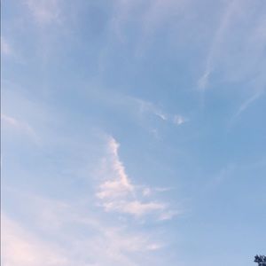 Meet your Posher, Alessandra